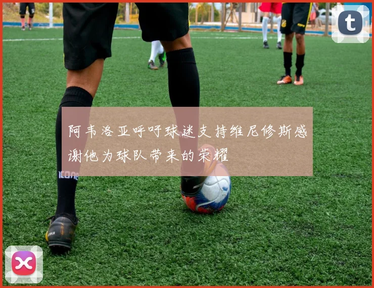 阿韦洛亚呼吁球迷支持维尼修斯感谢他为球队带来的荣耀