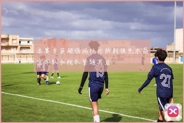 本赛季英超伤病统计热刺领先水晶宫车队和枪队紧随其后
